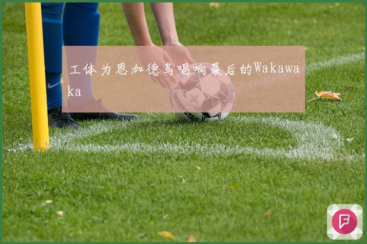 工体为恩加德乌唱响最后的Wakawaka