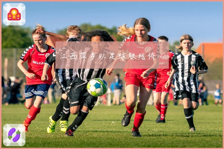 江西萍乡以足球联结侨心