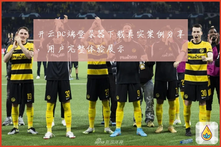 开云pc端登录器下载真实案例分享，用户完整体验展示